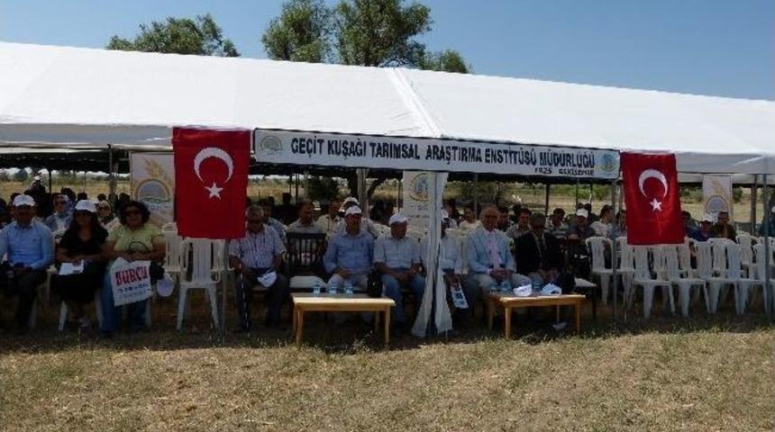 Eskişehir&rsquo;de &lsquo;tarla G&uuml;n&uuml;&rsquo;