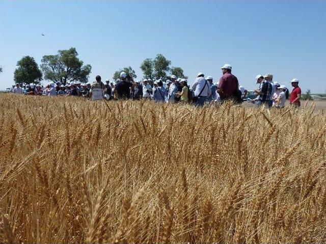 Eskişehir’de ‘tarla Günü’