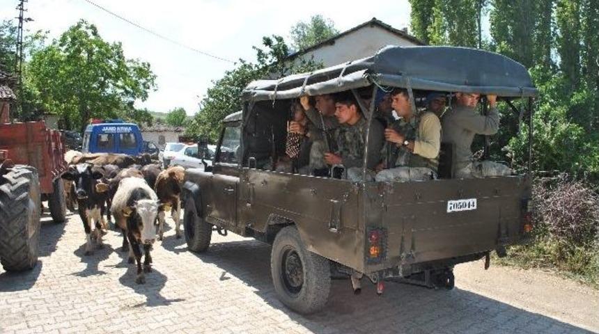 Tarlaya Giren İnekler Y&uuml;z&uuml;nden Kavga: 2 &Ouml;l&uuml;, 1 Yaralı
