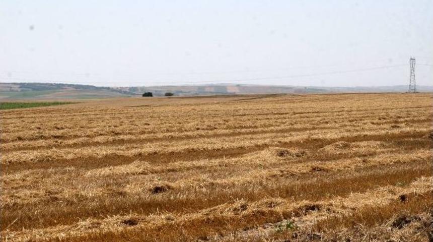 1 Yıllık Emek Bir Gecede &Ccedil;alındı