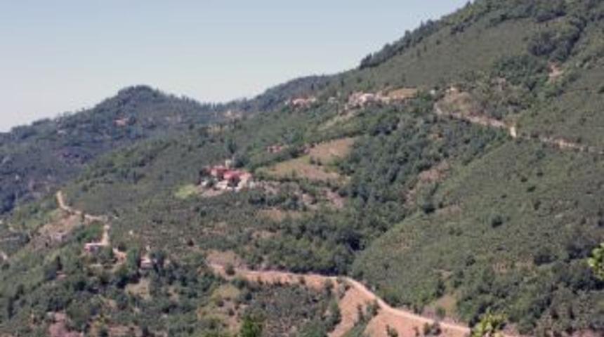 Akg&uuml;neyliler 30 Haziran'da Buluşacak