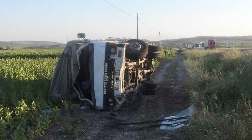 Kamyonet T&uuml;t&uuml;n Tarlasına Yuvarlandı, 1 Yaralı