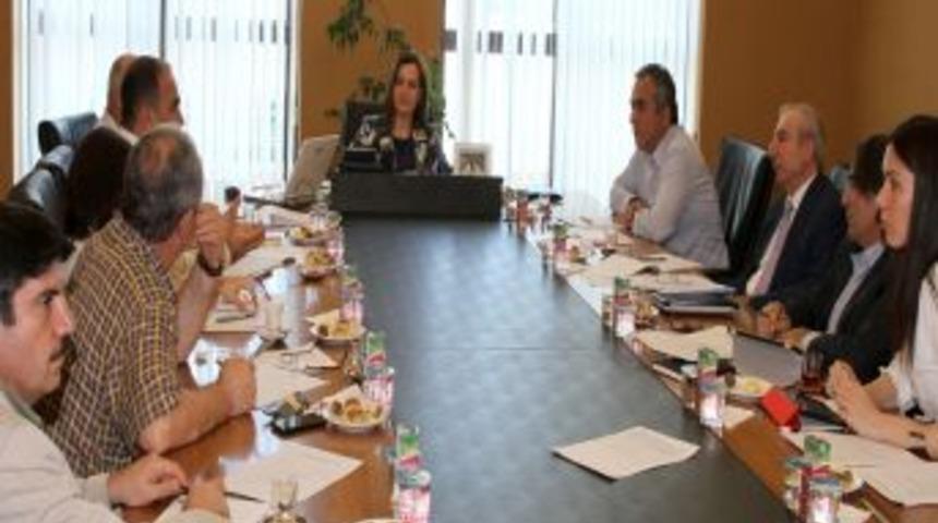 AK Parti, Gezi'yi Bilimsel Olarak Mercek Altına Aldı