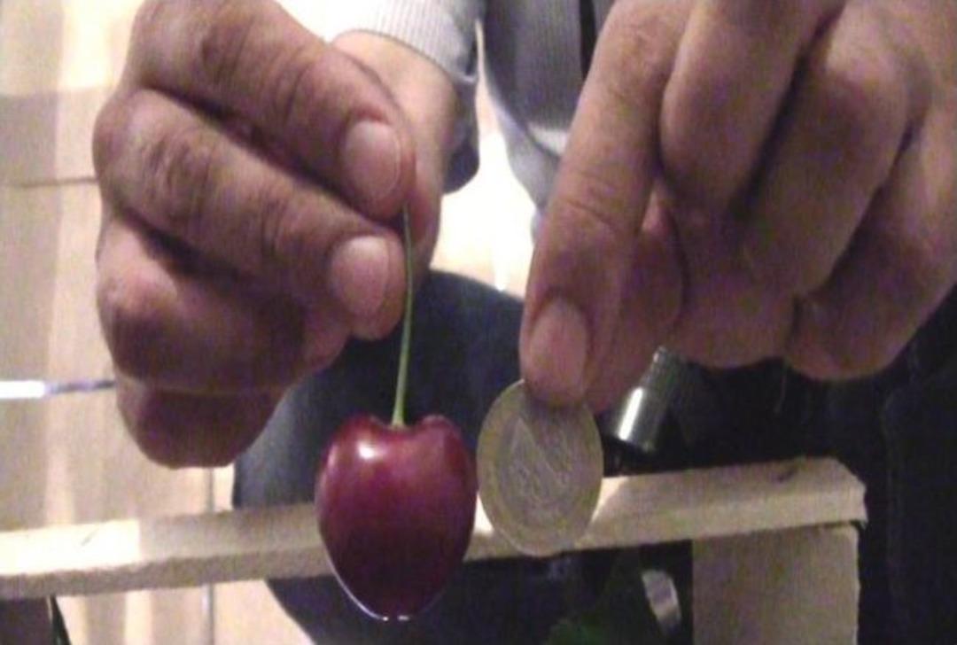 Lapseki Kirazı İhracatın G&ouml;zdesi Oldu