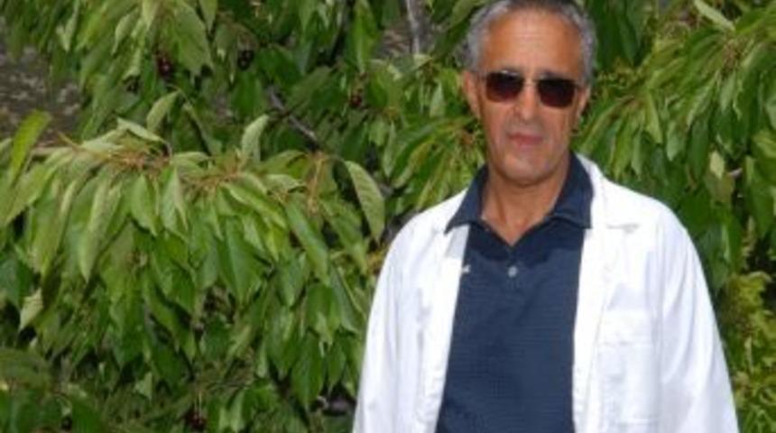 Sd&uuml; Verimi Y&uuml;ksek Kiraz &Ccedil;eşidi &Uuml;retti