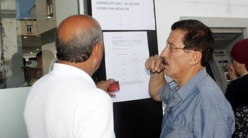 Fındık &Uuml;reticilerine Alan Bazlı Gelir Desteği &Ouml;demeleri Başladı