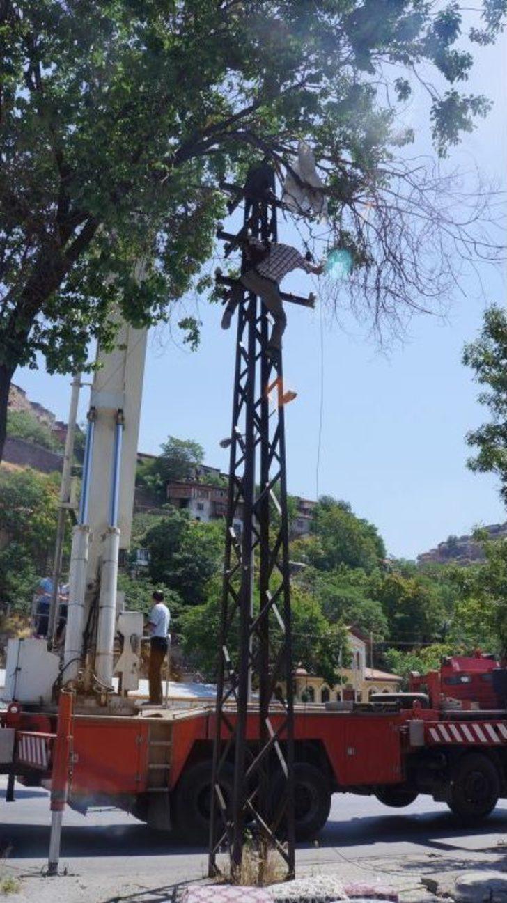 Tamir Için Çıktığı Direkte Elektrik Çarpması Sonucu Hayatını Kaybetti G2