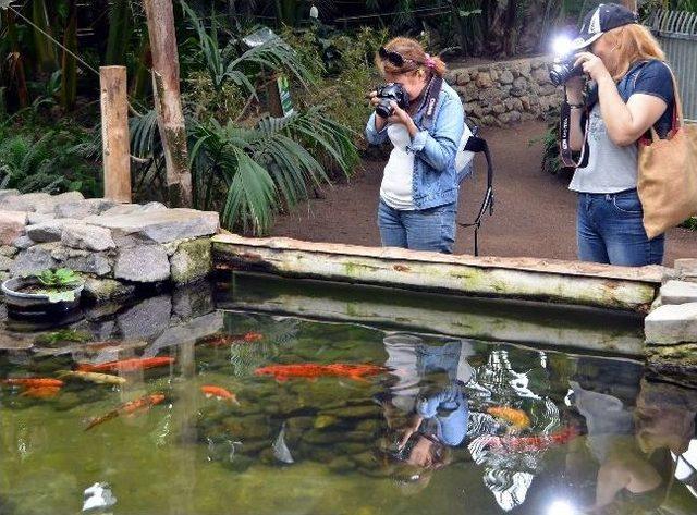 Doğal Yaşam Parkı Temalı Fotoğraf Yarışması