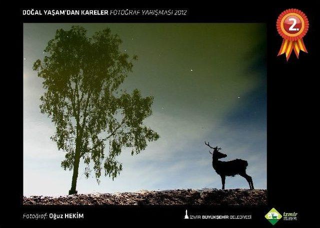 Doğal Yaşam Parkı Temalı Fotoğraf Yarışması