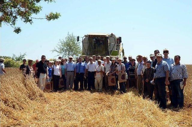 Buğdayda Doğru Ve Dengeli Gübreleme