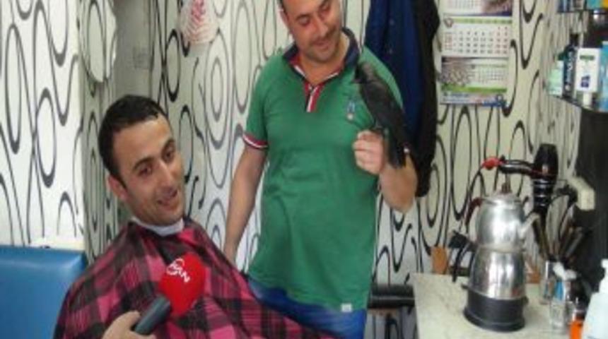 'Besle Kargayı Oysun G&ouml;z&uuml;n&uuml;&rsquo; Atas&ouml;z&uuml;ne Inat Karga Besliyor