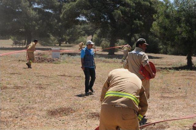 Orman Teşkilatı Yangınlara Hazır