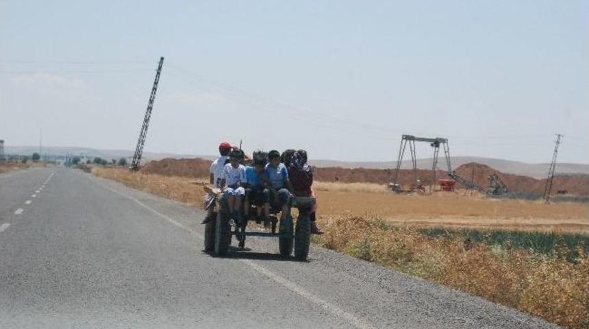 At Arabasıyla Tehlikeli Yolculuk