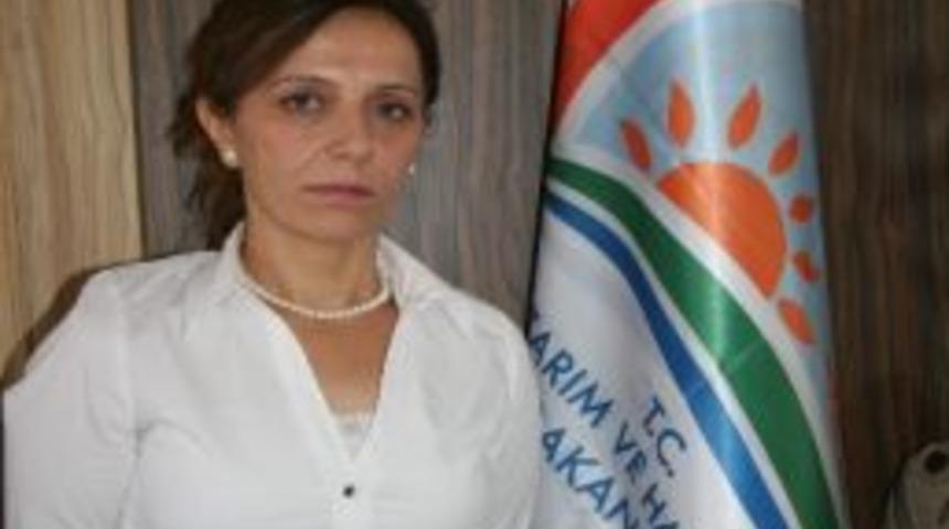 2013 Makine Ekipman Alımı M&uuml;racaatları Başladı