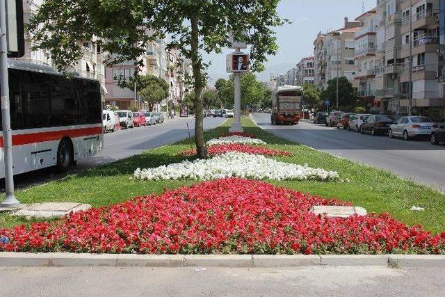 Gitti Godetya, Geldi Petunya