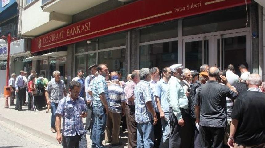 &Uuml;reticinin D&ouml;n&uuml;m Parası Sevinci