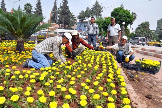 Reyhanlı'da Hayat Normale Dönüyor