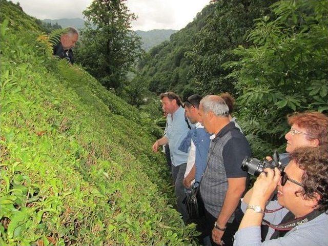 İnşaat Mühendisleri Karadeniz Turuna Çıktı