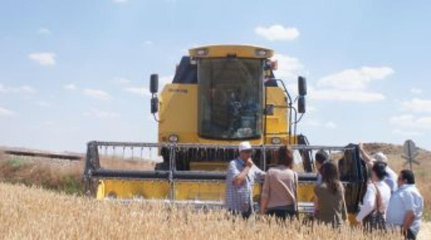 Kırıkkale&rsquo;de Dane Kaybı Y&uuml;zde 2 Civarında