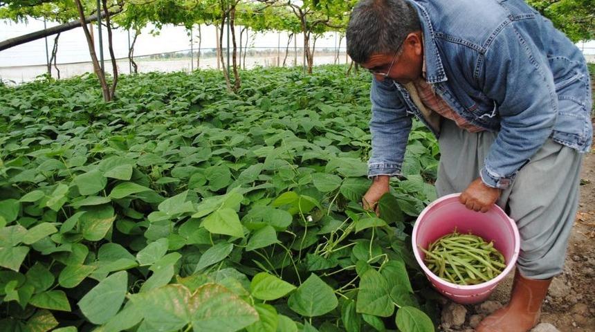 MZO, Nitelikli Tarım I&ccedil;in Danışman Istihdamına Başladı