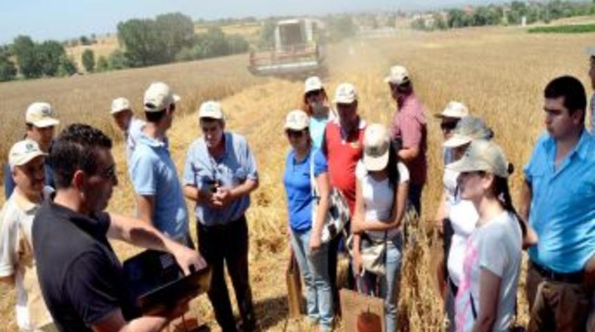 Buğdayda Doğru Ve Dengeli G&uuml;breleme I&ccedil;in Tarla G&uuml;n&uuml; D&uuml;zenlendi