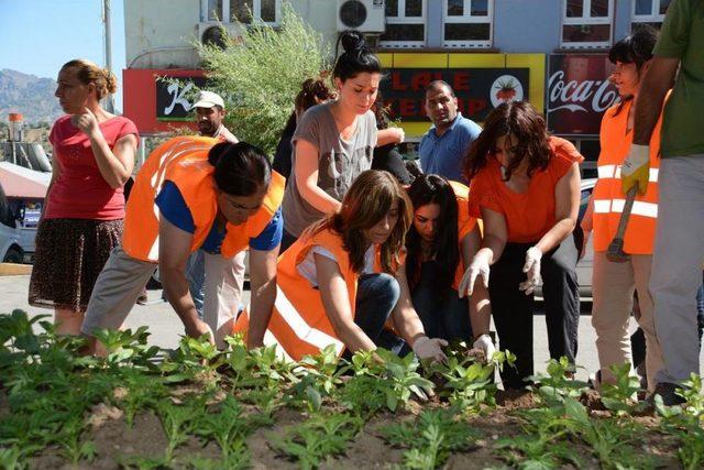 Tunceli Belediyesi'nden Çevre Düzenlemesi Çalışması