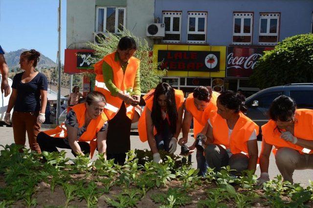 Tunceli Belediyesi'nden Çevre Düzenlemesi Çalışması