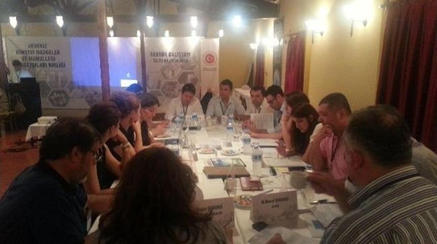 Kimyevi Madde İhracat&ccedil;ıları Sekt&ouml;r &Ccedil;alıştayı D&uuml;zenledi