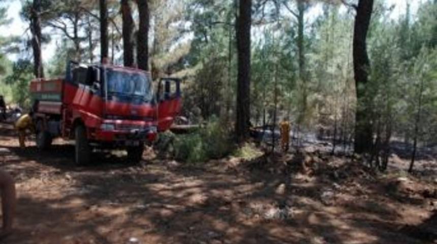 Kazdağları'nda Yangın