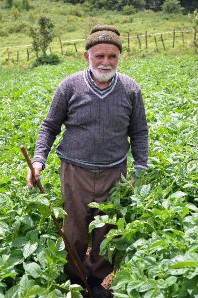 Makineli Tarım Yüzleri Güldürüyor