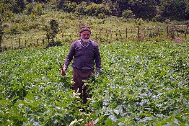 Makineli Tarım Yüzleri Güldürüyor