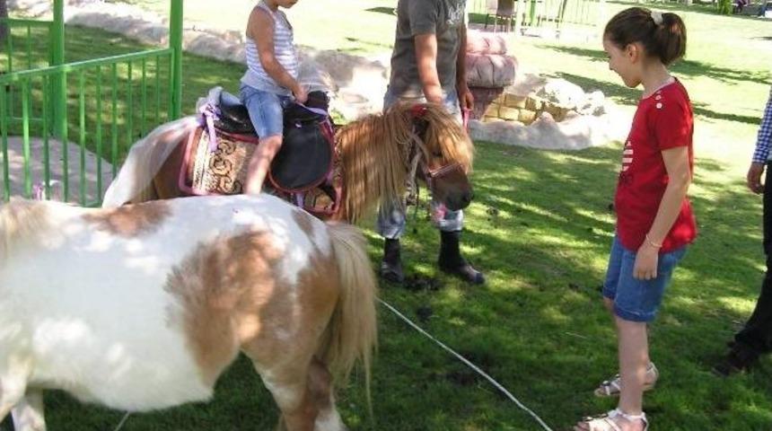 Mini Hayvanat Bah&ccedil;esi İlgi G&ouml;r&uuml;yor