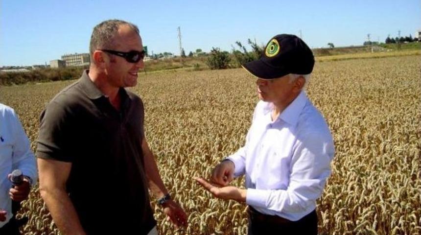 Hayrabolu'da Tarla G&uuml;n&uuml;