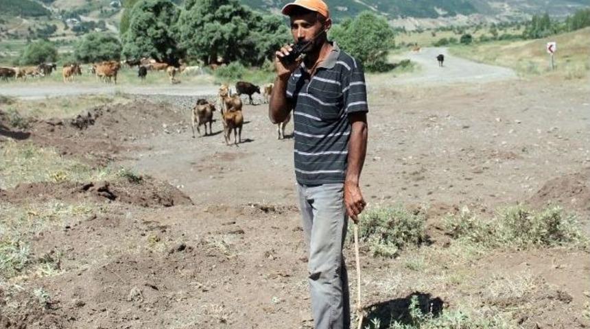 (&ouml;zel Haber) Telsizli &Ccedil;obanlar İş Başında