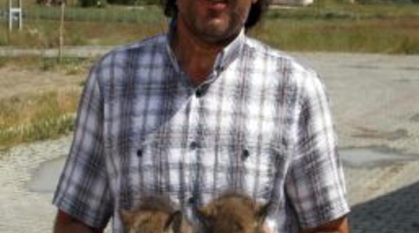 Yavru Kurtlar 'lokman' Hekime Emanet