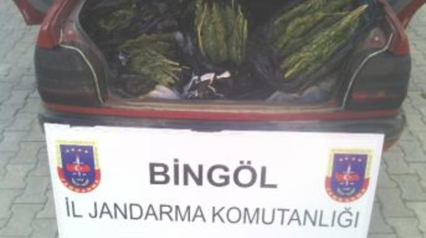 Bing&ouml;l&rsquo;de 13 Kilo Esrar Ele Ge&ccedil;irildi