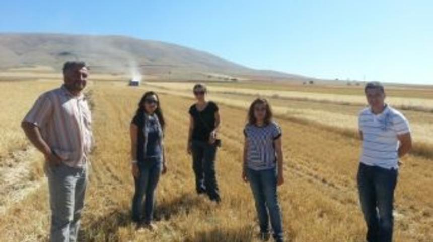 Elbistan'da Bi&ccedil;erd&ouml;ver Kontrollerine Başlandı