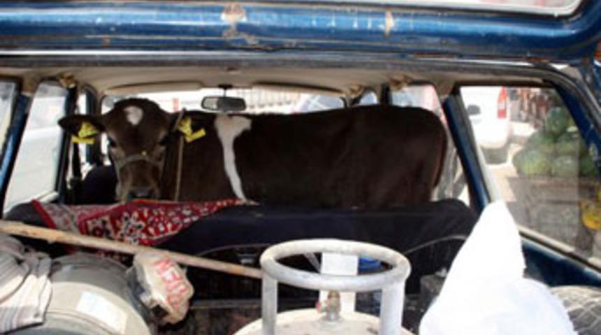 Otomobilde garip g&ouml;r&uuml;nt&uuml;