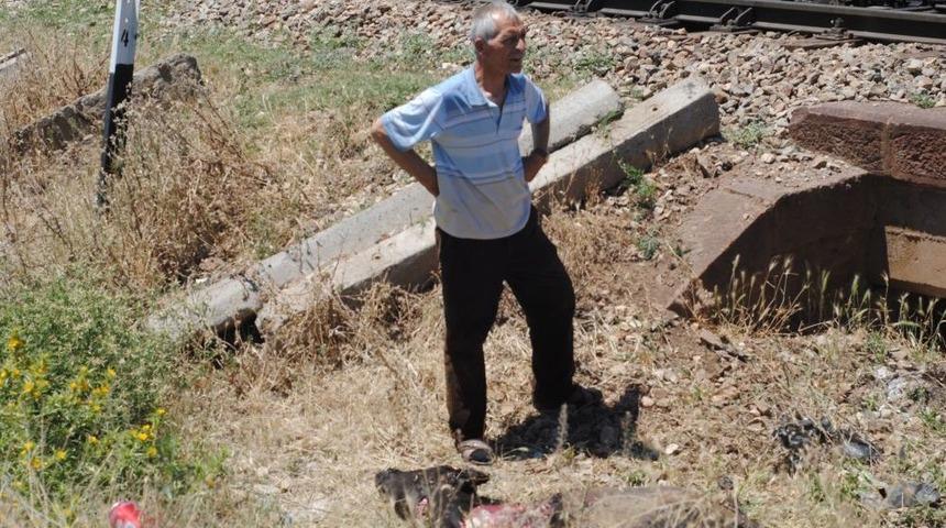 Trenin &Ccedil;arptığı Ineklerden &Uuml;&ccedil;&uuml; Telef Oldu