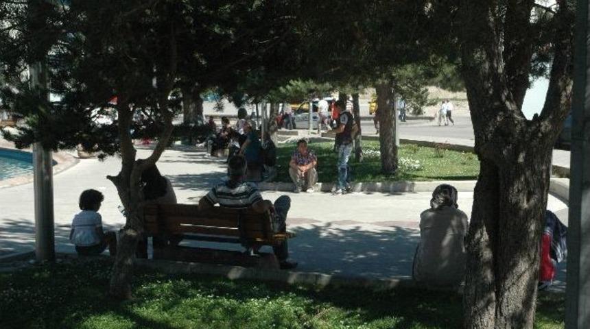 Sıcaktan Bunalanar Deniz Olmayınca Ağa&ccedil; G&ouml;lgelerinde Serinlendiler