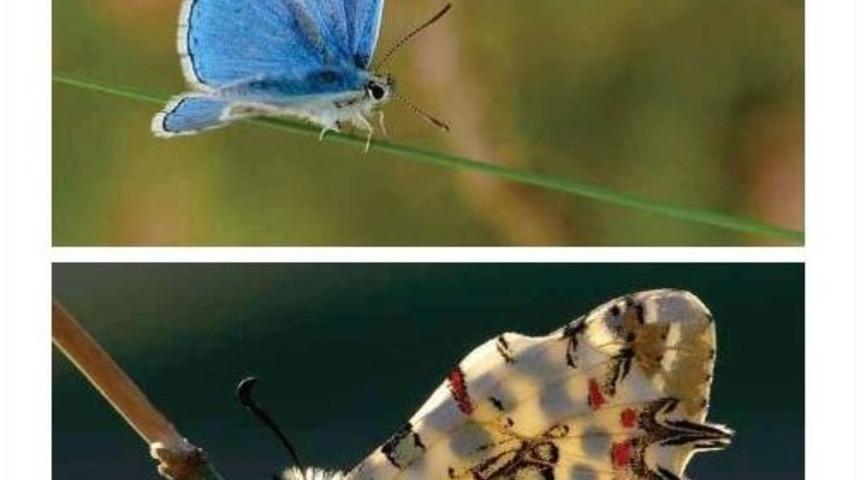 &Ouml;ğretim G&ouml;revlisinin Fotoğrafları Anadolu Jet Dergisinde Yayınlandı