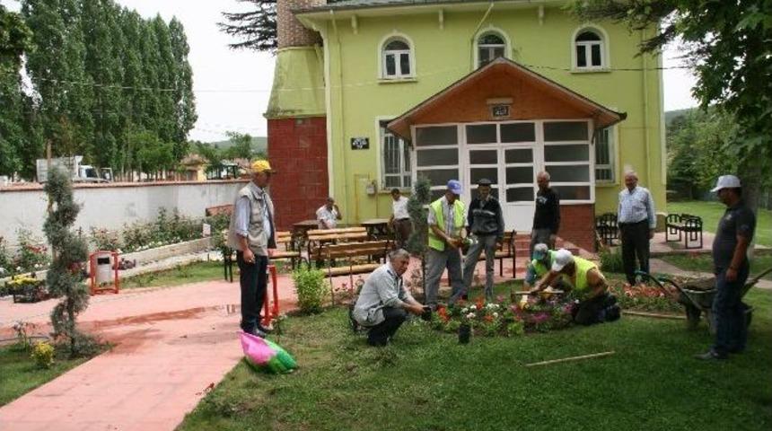 Camilere Yeşil Bakımı
