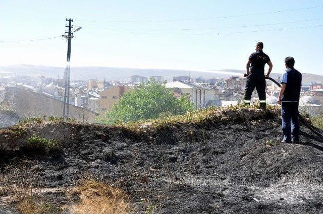 Otluk Alanda Çıkan Yangında, Yavru Kediler Telef Oldu