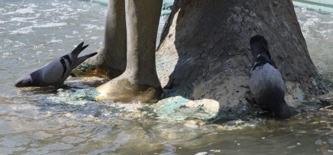 Eskişehir&rsquo;de Bunaltan Sıcaklar