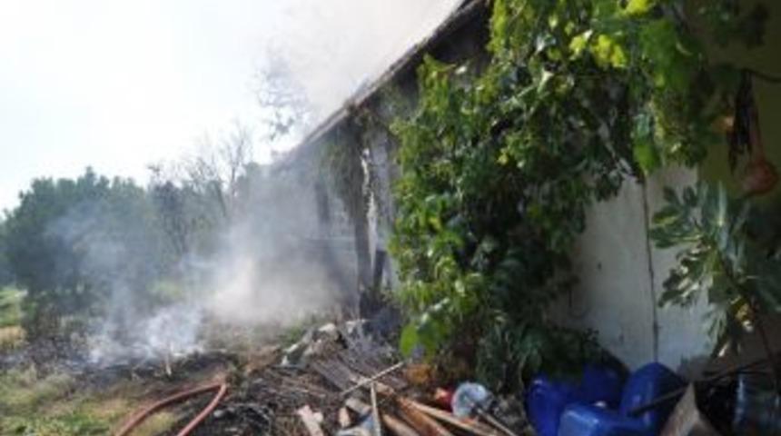 Edremit'te Yangın: 2 Ke&ccedil;i Telef Oldu