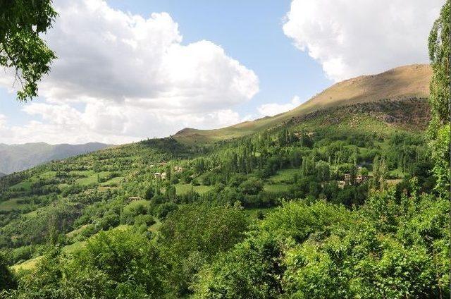 Nişan Yemeğinden 200 Kişi Zehirlendi 1