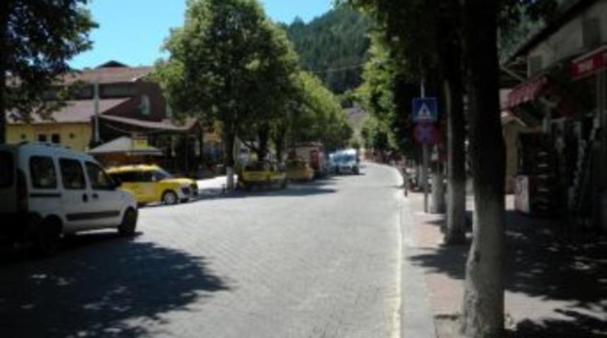 Azdavayda Ihlamur Hasadı Başladı