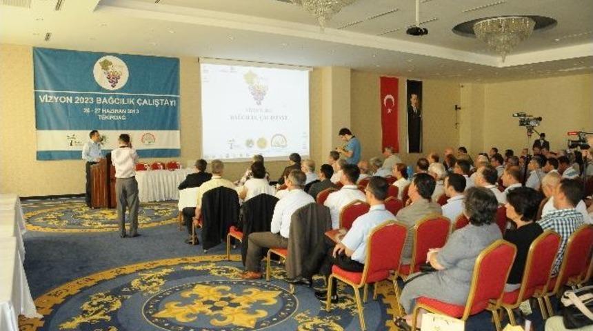 2023 T&uuml;rkiye Bağcılık Vizyonu Belirlendi