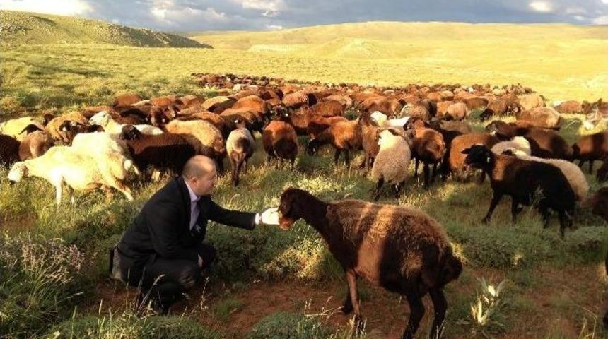 Yetiştiricilerin Sorunları Yerinde Dinlenecek