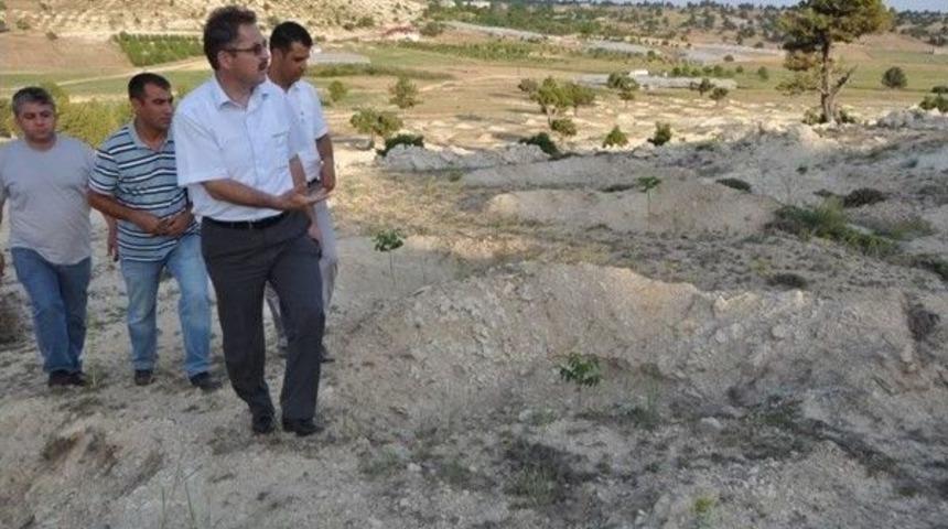 Ceviz Ve Badem Eylem Planı Mersin&rsquo; De Hayata Ge&ccedil;ti